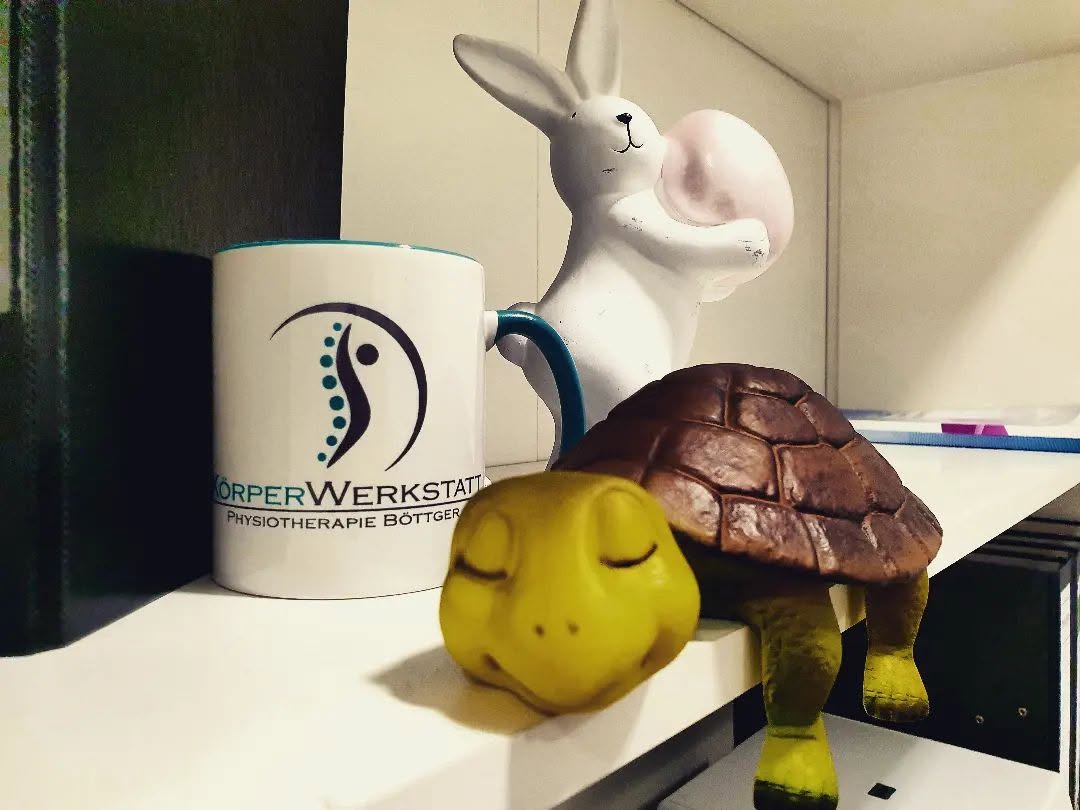 Schildkröte als persönliches Motiv der Praxisinhaberin
